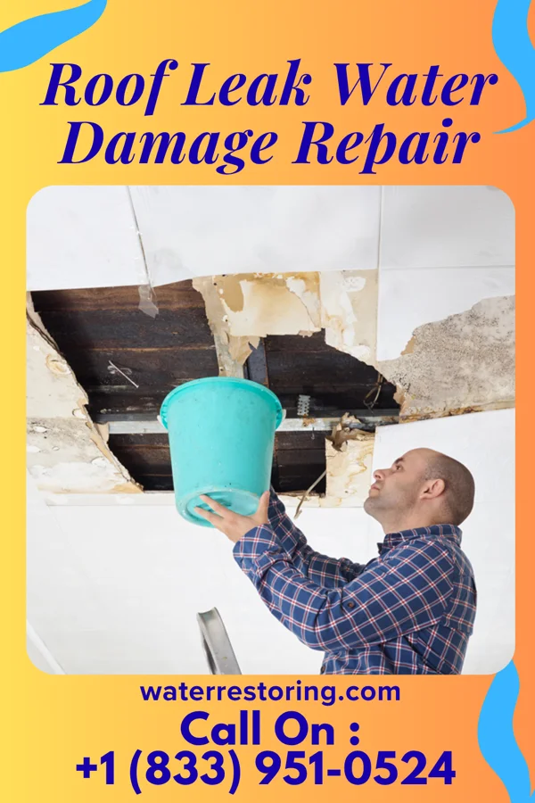 Roof Leak Water Damage Repair in Zeeland, ND